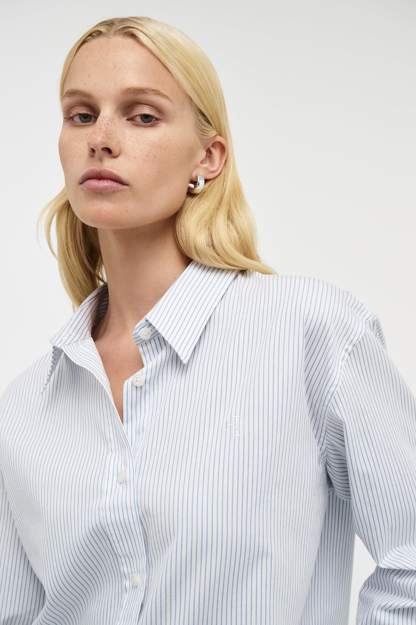 Regular Fit Stripe Shirt - Oxford Blue